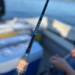 Modelo GÉNESIS de 2,1m - Baitcasting - Carbono 10-20lb - 2 tramos